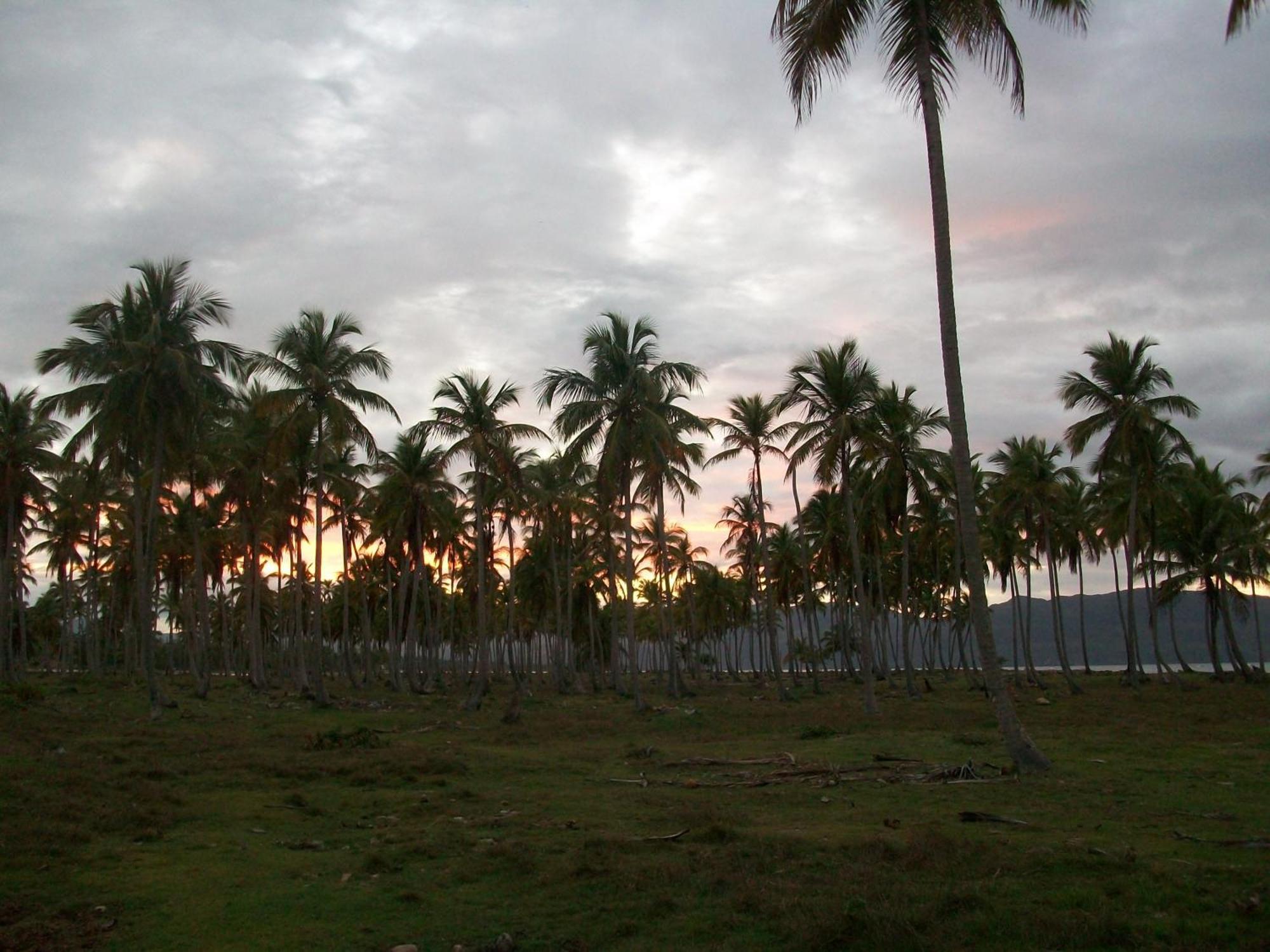 Villa La Caleta Las Galeras Kültér fotó