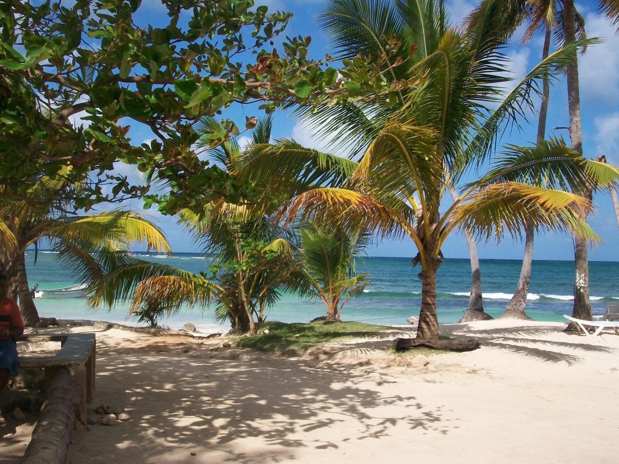 Villa La Caleta Las Galeras Kültér fotó