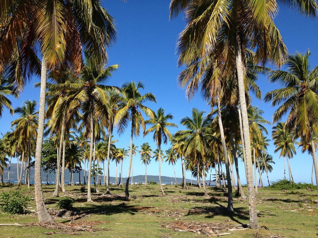 Villa La Caleta Las Galeras Kültér fotó