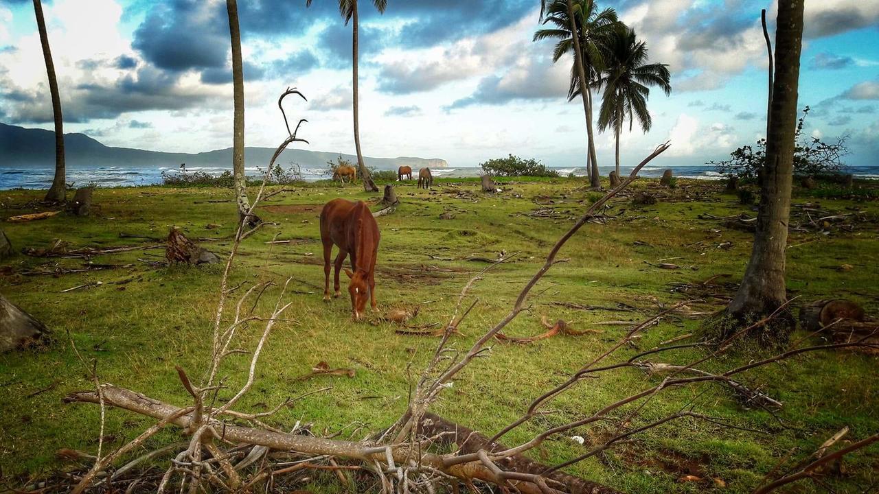 Villa La Caleta Las Galeras Kültér fotó