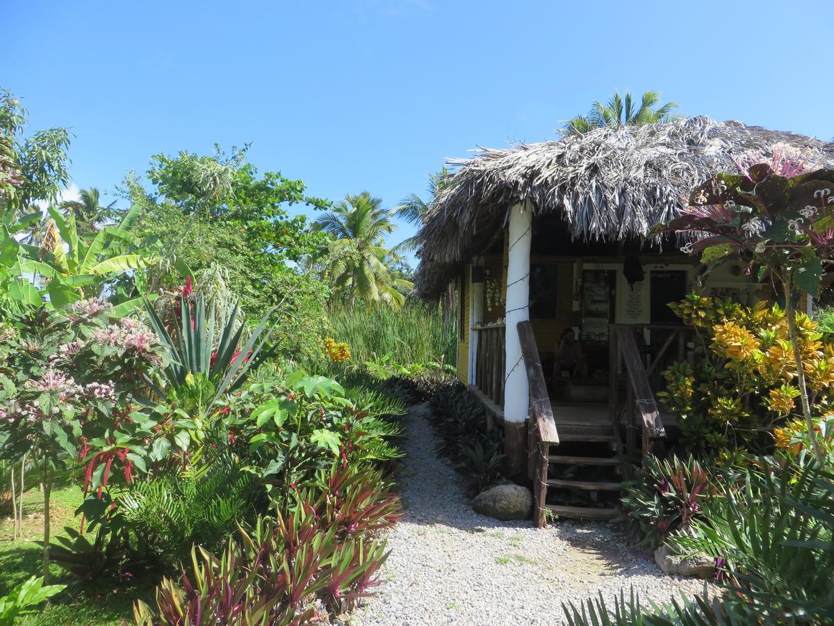 Villa La Caleta Las Galeras Kültér fotó